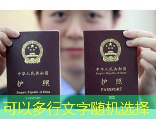 战火后的新航线：乌克兰移民中介公司如何为你打开第二家园之门